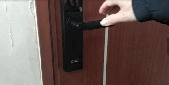 港澳新闻 第15页