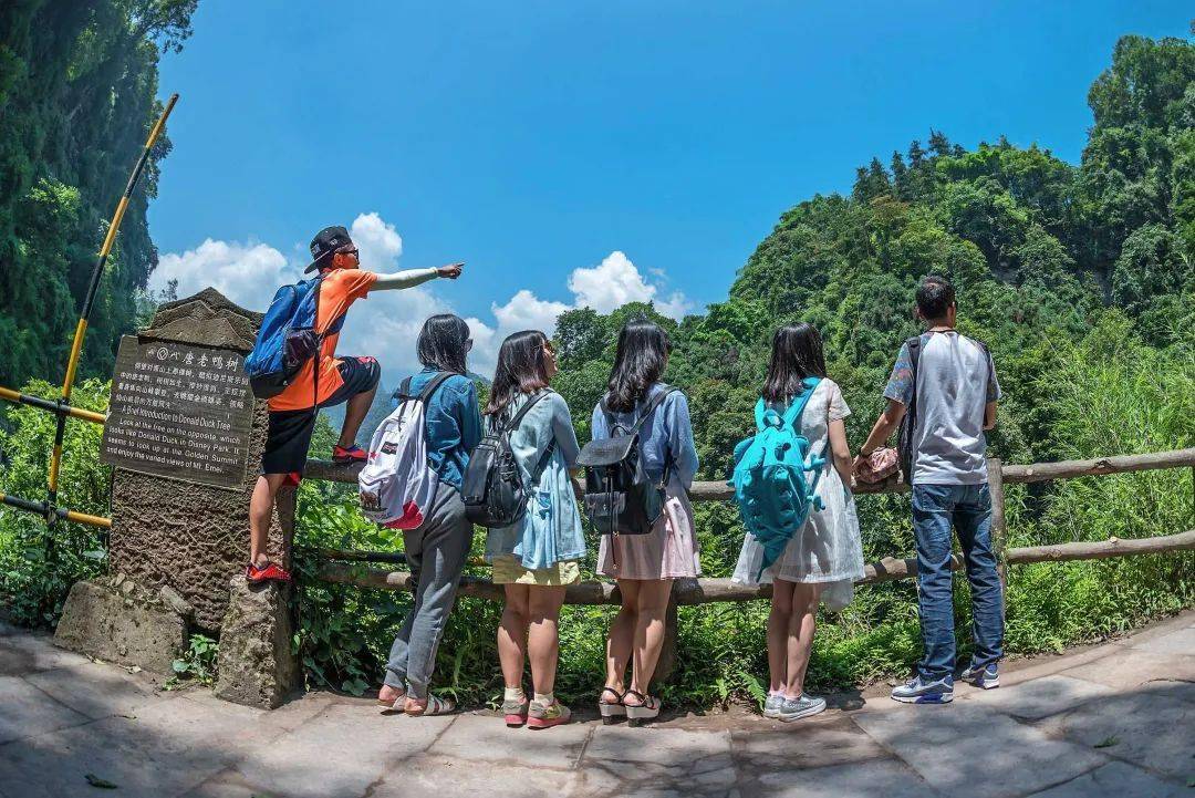 揭秘峨眉山陪爬团队:九成游客为女性揭秘峨眉山陪爬团队，女性游客占据九成